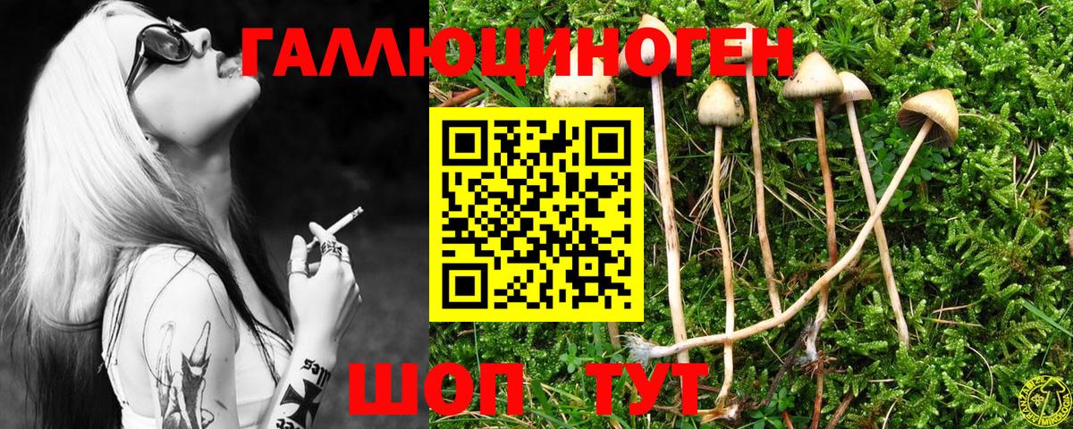 Псилоцибиновые грибы прущие грибы Омск